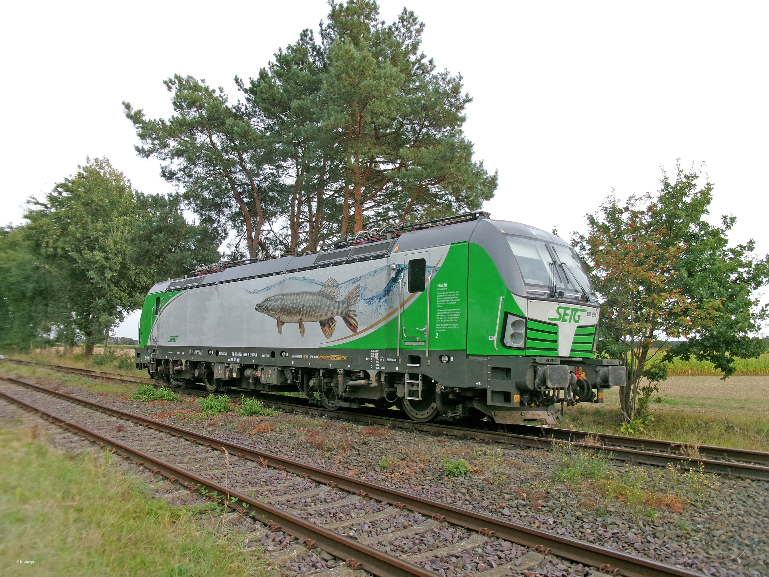 Bahnstrecke Celle-Wittingen: BR193 der SETG im Bereich Wittinger Hafen